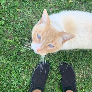 Meet your Posher, Angelina